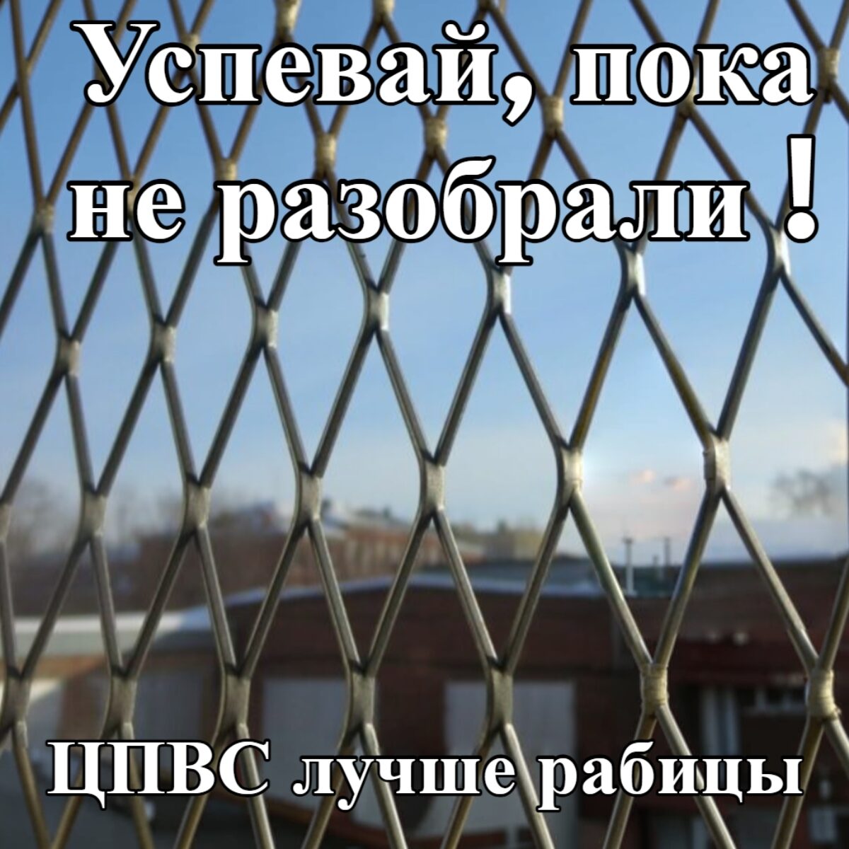 Сетка ЦПВС Оцинкованная (63х30х1.5)х(1.0х1,5х10) цена за рулон -  Красноярский завод металлических сеток (КЗМС)