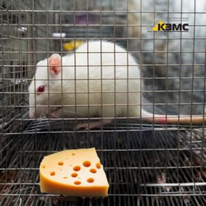 Сетка для защиты от мышей
