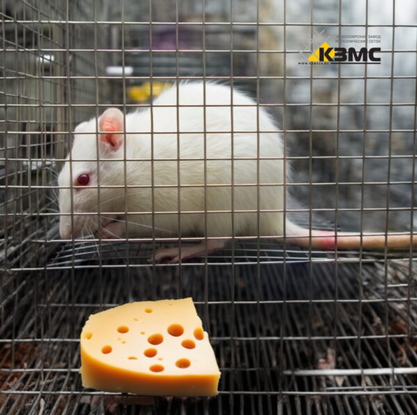 Сетка для защиты от мышей